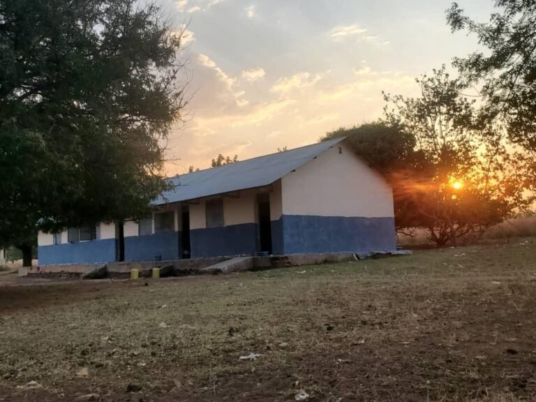 WhatsApp Image 2025-11-29 at 00.01.11