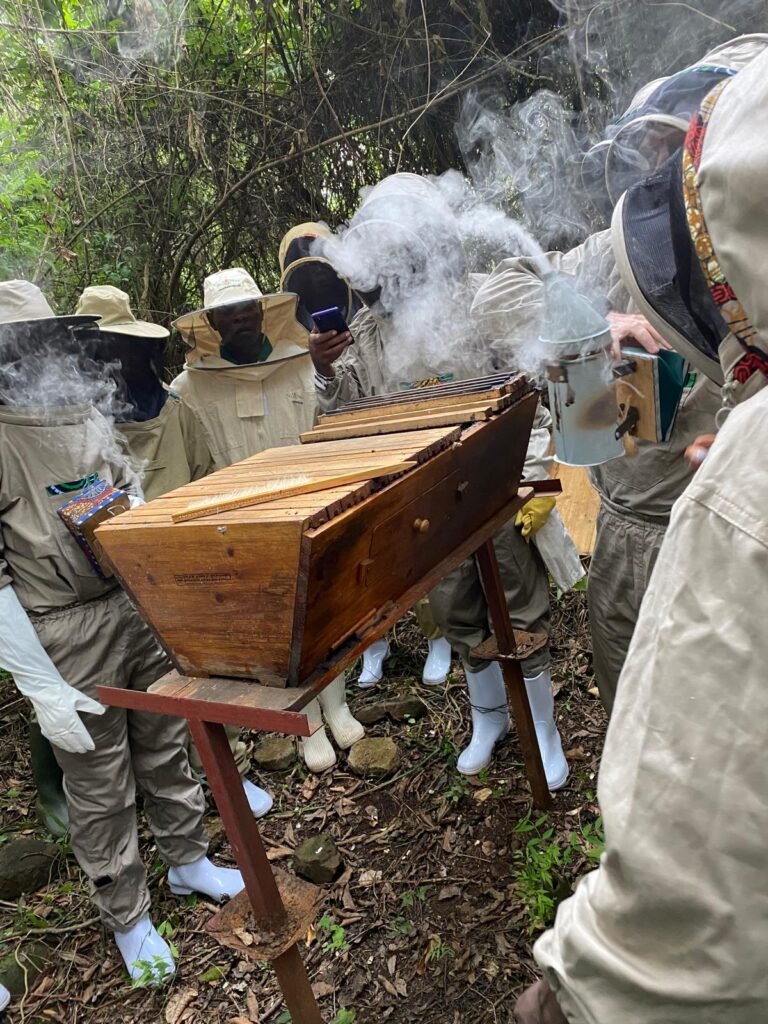 WhatsApp Image 2025-11-29 at 00.20.22