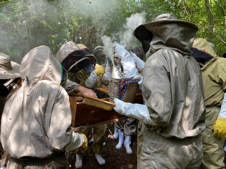 WhatsApp Image 2025-11-29 at 00.23.06