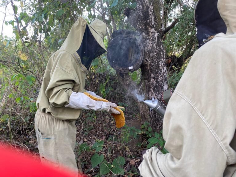 WhatsApp Image 2025-11-29 at 00.27.03